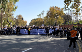 Manifestación discapacidad